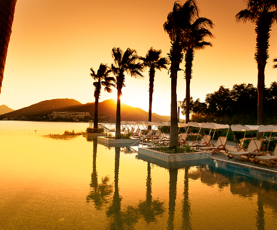 Xanadu Island hakkında
